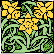 Daffodils